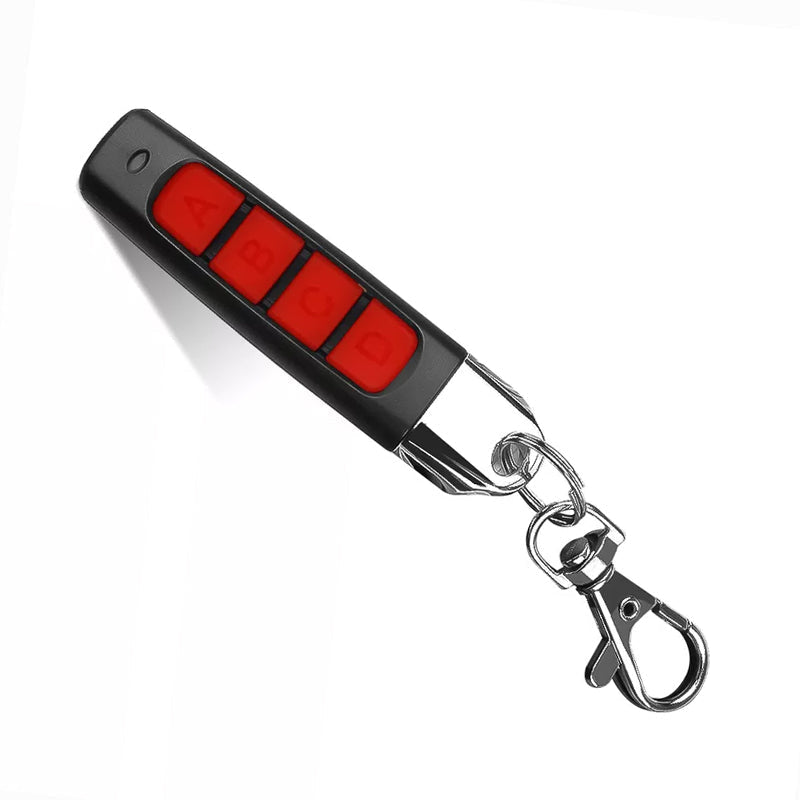 Remote control duplicator