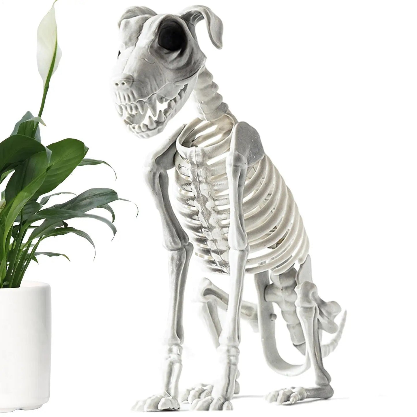 BowLift | Spooky Skeleton Dog Halloween Decor Statue