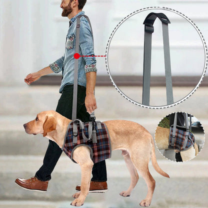 BowLift | Orthopedic Strap for Hind Legs