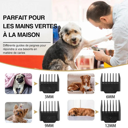 Skanto | Professional Pet Grooming Kit