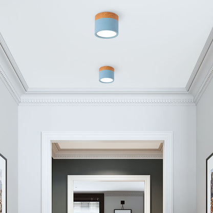 BowLift | LED Ceiling Light Modern Flush Mount Cylinder
