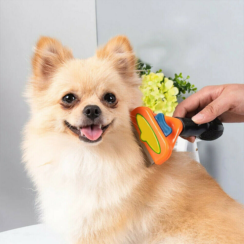 Skanto | Pet Hair Removal Brush