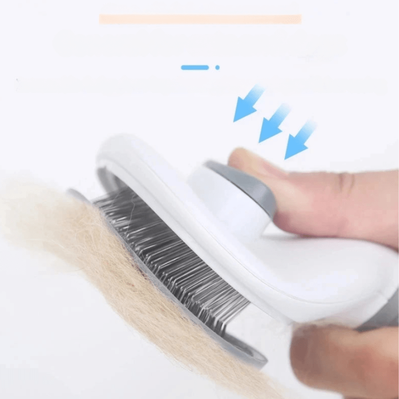 Skanto | Gentle Care for Every Coat