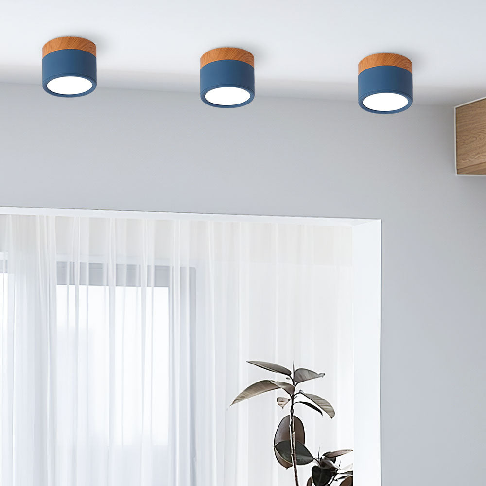 BowLift | LED Ceiling Light Modern Flush Mount Cylinder
