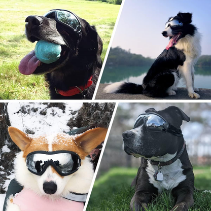 Skanto | Outdoor Dog Goggles