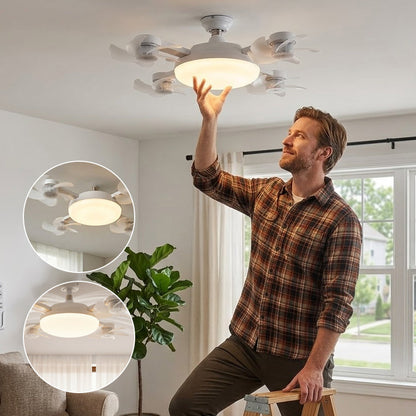 Remote Control Ceiling Fan Light Bulb | Bowlift