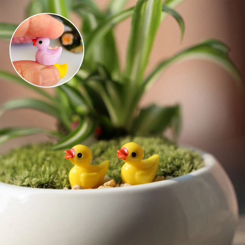 🦆Tiny Ducks | Challenge Hiding Ducks | Norvo