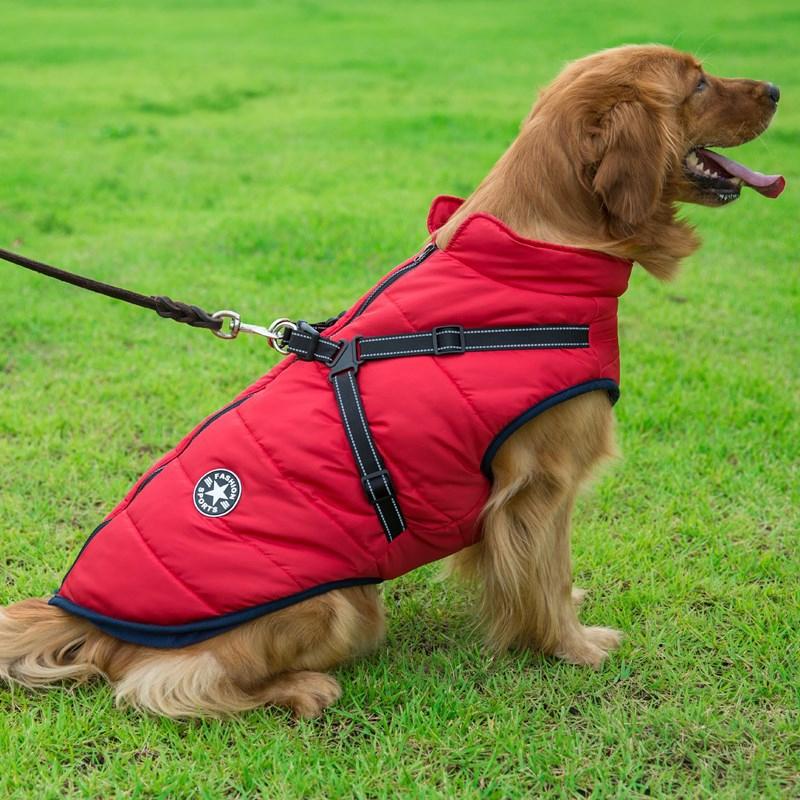 Skanto | Winter Zipper Coat for Dogs