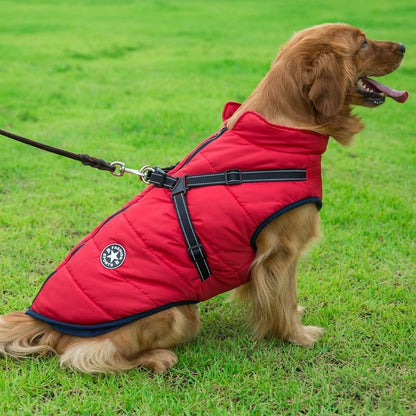 Skanto | Winter Zipper Coat for Dogs