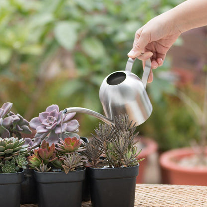 Skanto | Stainless Steel Watering Can with Flexible Neck | Modern Design | Perfect Watering | Won't Rust