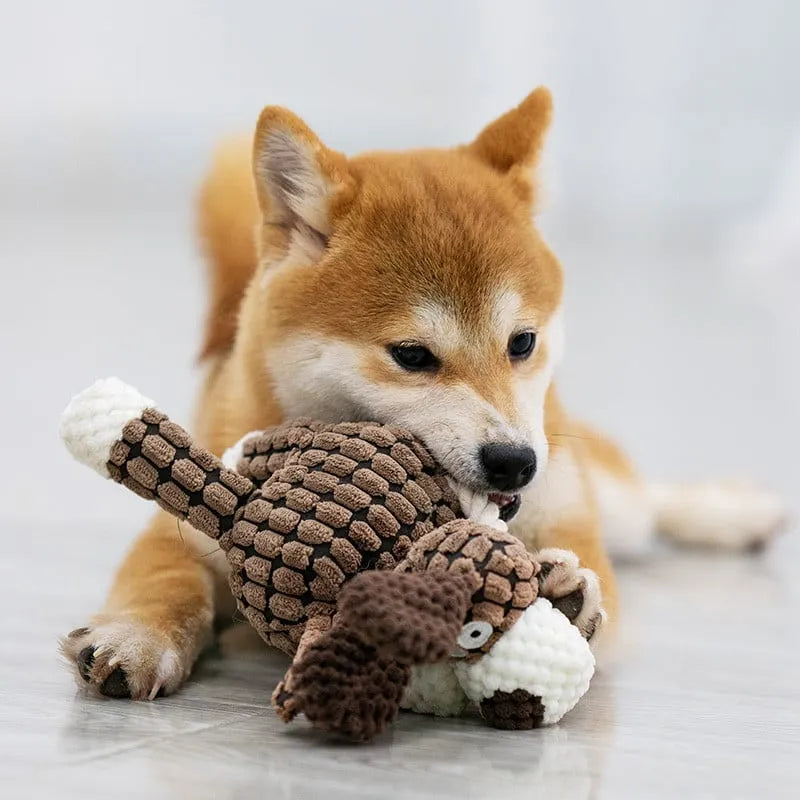 Squeaky plush toy for dogs