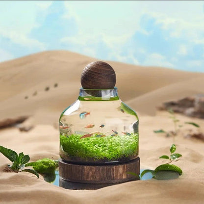 Micro Aquarium Compact Glass Ecological Fish Tank | Bowlift