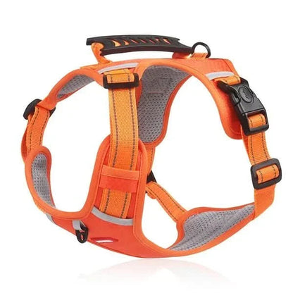 BowLift | anti-pull dog harness for pain-free walks