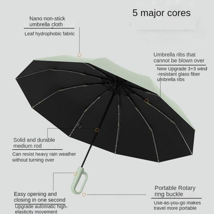 BowLift | Windproof Folding Umbrella with Ring Buckle Handle