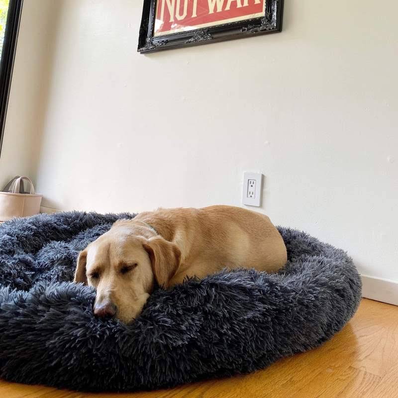 Skanto | Calming Dog Bed