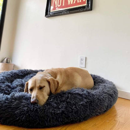 Skanto | Calming Dog Bed