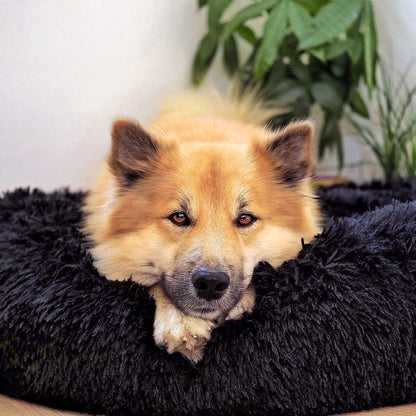 Skanto | FluffyNest Comfort Dog Bed – Orthopedic Plush Sleeping Pad for Dogs