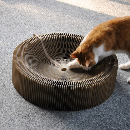 BowLift | Cat Scratcher Board Accordion Bed