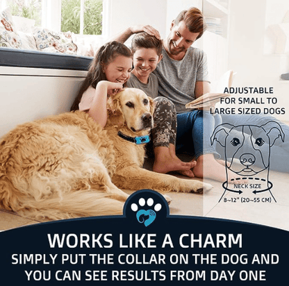 BowLift | Anti-Bark Collar
