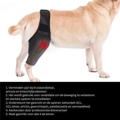 Skanto | PootVitaal Knee Brace for Dogs – Support for Joint Pain and Rehabilitation