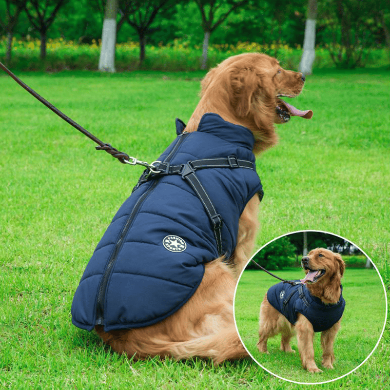 Winter Dog Jacket with Harness | Karnz