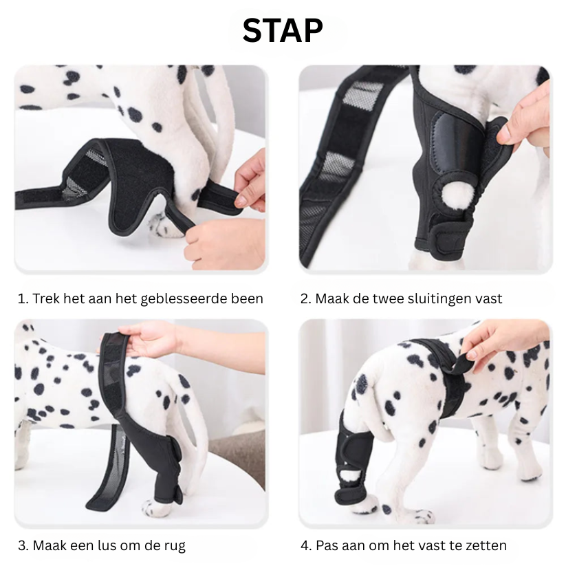 Skanto | PootVitaal Knee Brace for Dogs – Support for Joint Pain and Rehabilitation