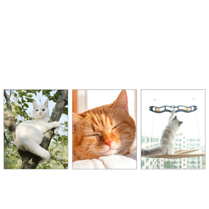 Skanto | Window Hammock for Cats