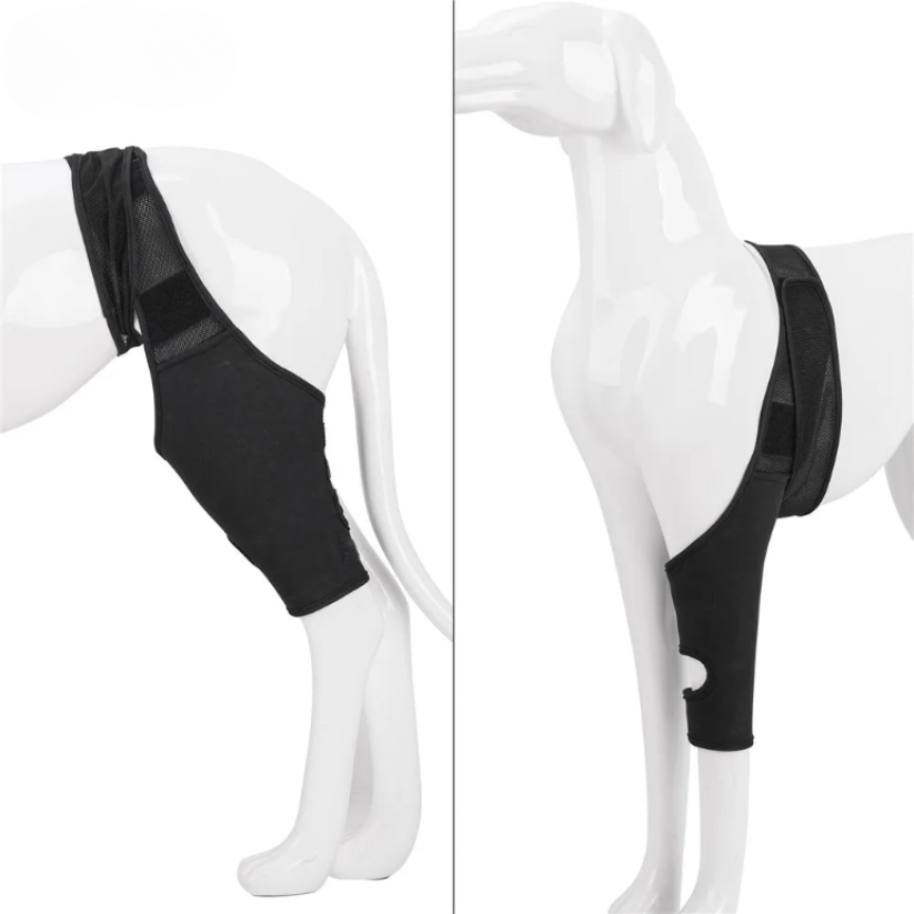 Skanto | PootVitaal Knee Brace for Dogs – Support for Joint Pain and Rehabilitation