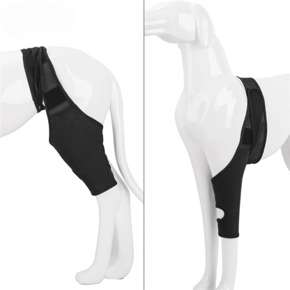 Skanto | PootVitaal Knee Brace for Dogs – Support for Joint Pain and Rehabilitation