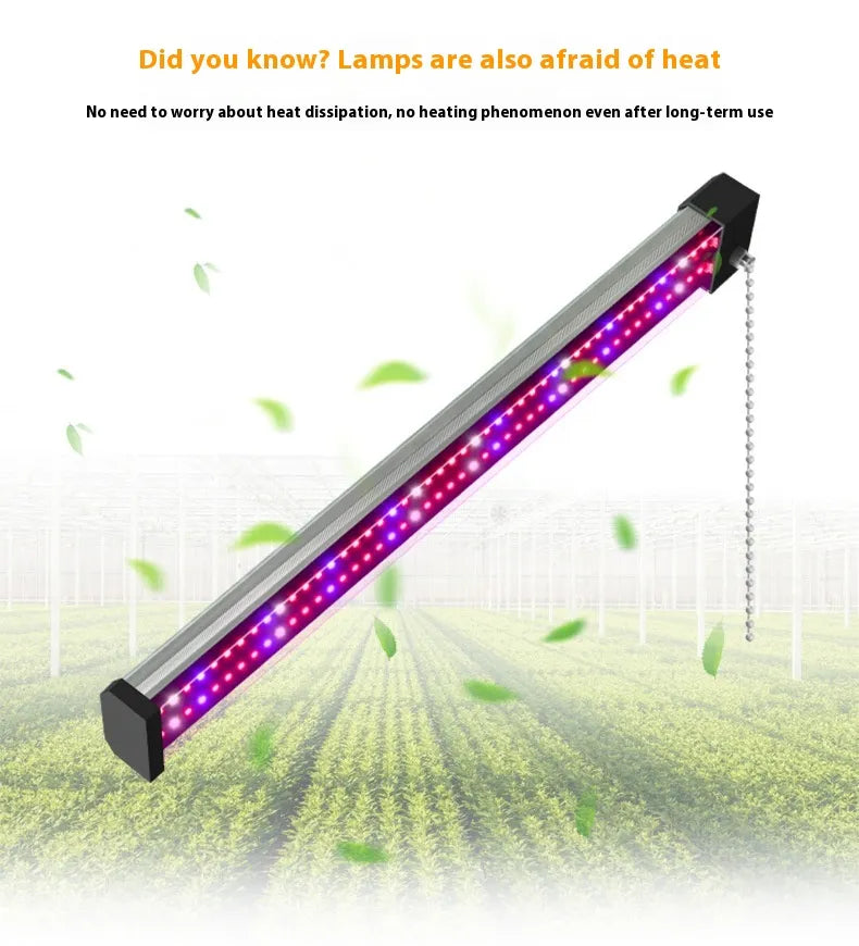 Skanto | LED Grow Light with Full Spectrum Lighting and Pull Switch for Optimal Plant Growth