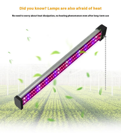 Skanto | LED Grow Light with Full Spectrum Lighting and Pull Switch for Optimal Plant Growth