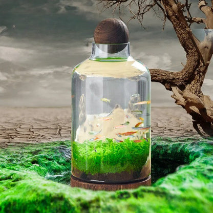 Micro Aquarium Compact Glass Ecological Fish Tank | Bowlift