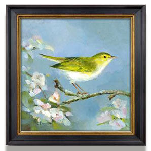 Framed Bird Artwork