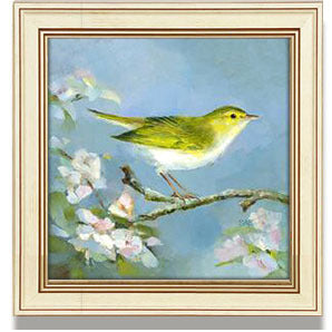 Framed Bird Artwork