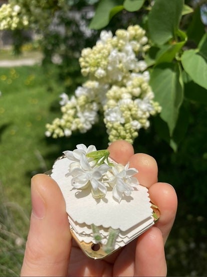 BowLift | Mini Flower Press | Compact Botanical Keepsake Maker | Portable Craft Tool