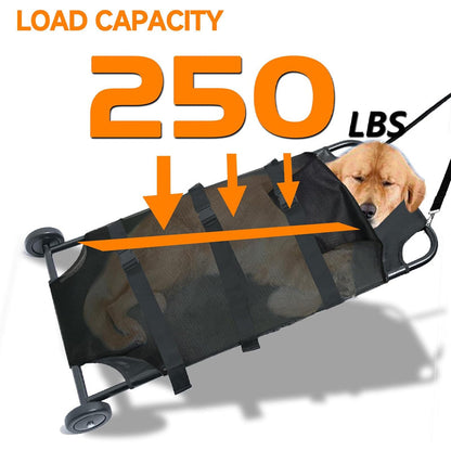 BowLift | 250lbs Capacity Animal Stretcher 48 x 26 Inch Dog Stretcher Pet Trolley with Noiseless Wheels