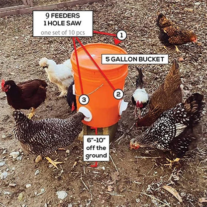 BowLift | Feeding Kit Special Tools For Breeding Chickens Ducks Poultry Accessories