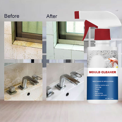 Skanto | Mold Remover Foam