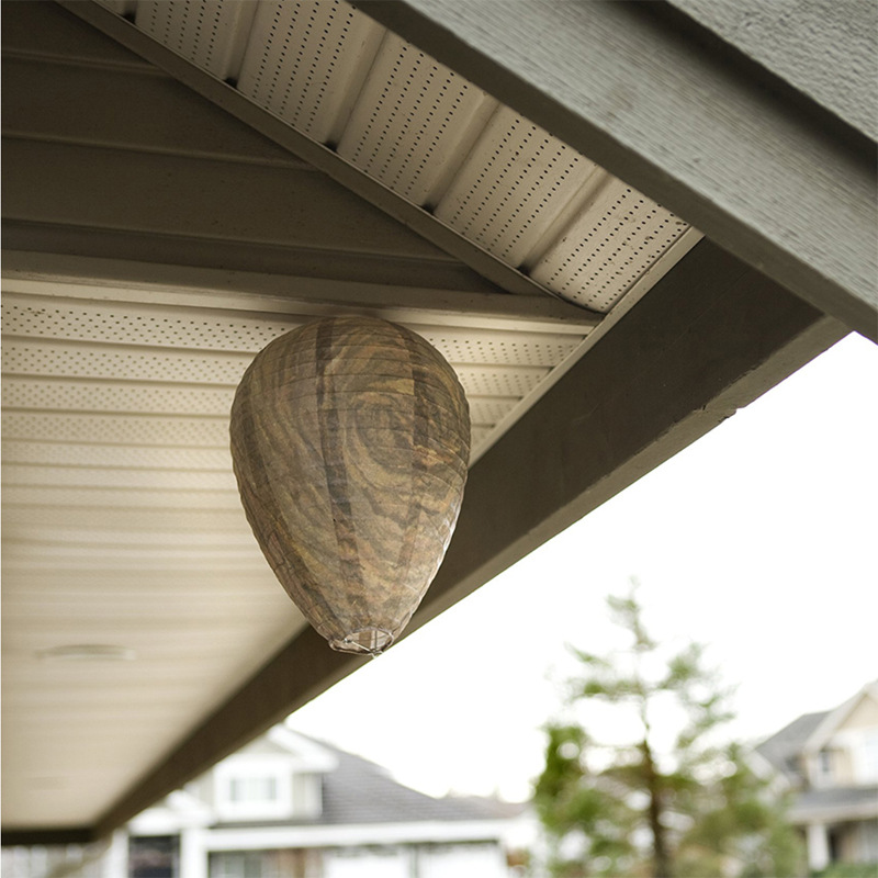 BowLift | Wasp Nest Defense Lamp – Hanging Protection Net Against Wasps and Insects
