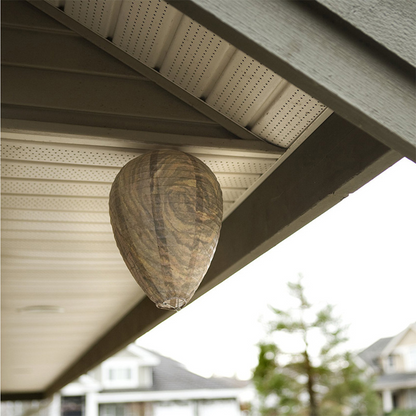 BowLift | Wasp Nest Defense Lamp – Hanging Protection Net Against Wasps and Insects