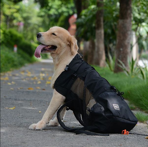 Skanto | Dog Backpack Carrier
