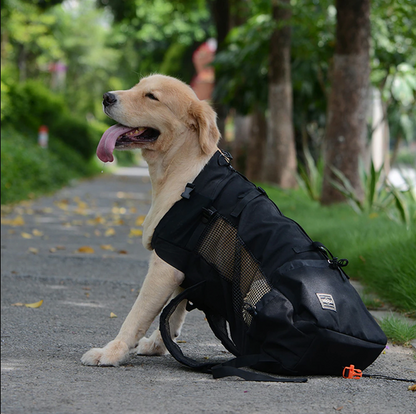 Skanto | Dog Backpack Carrier