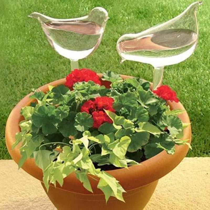 Self-watering glass birds