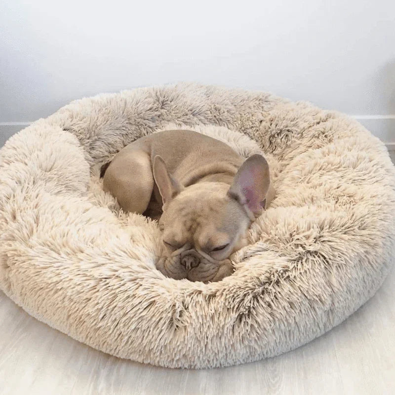 Skanto | Calming Dog Bed