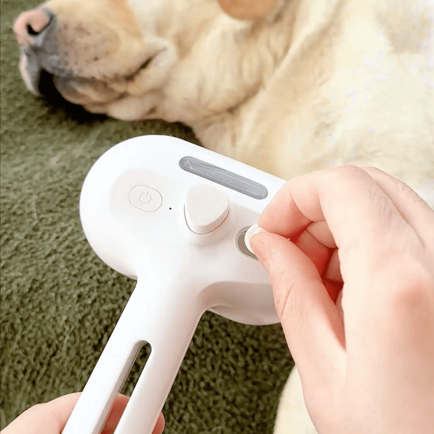 Skanto | DampfVacht Steam Brush – Gentle Care for Every Dog Coat