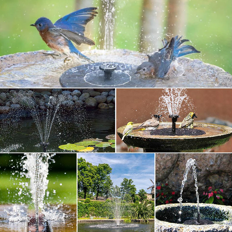 Skanto | Solar-Powered Bird Fountain with Light