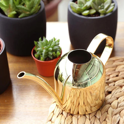 Skanto | Stainless Steel Watering Can with Flexible Neck | Modern Design | Perfect Watering | Won't Rust