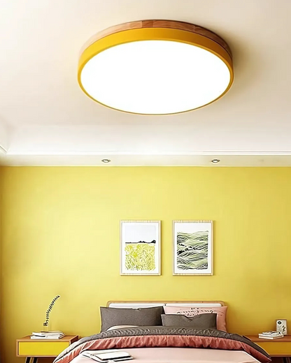 Skanto | Modern Pendant Light with Nature-Inspired Form