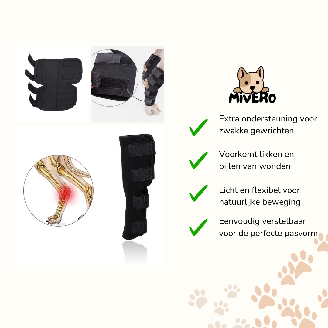 Skanto | PawBrace - Orthopedic Dog Leg Brace