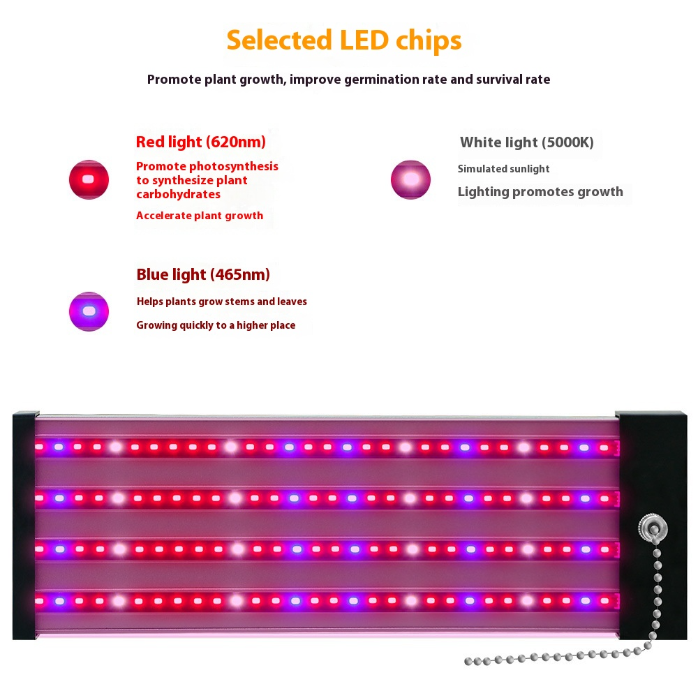Skanto | LED Grow Light with Full Spectrum Lighting and Pull Switch for Optimal Plant Growth